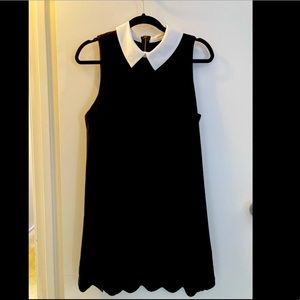 Little black dress with collar.